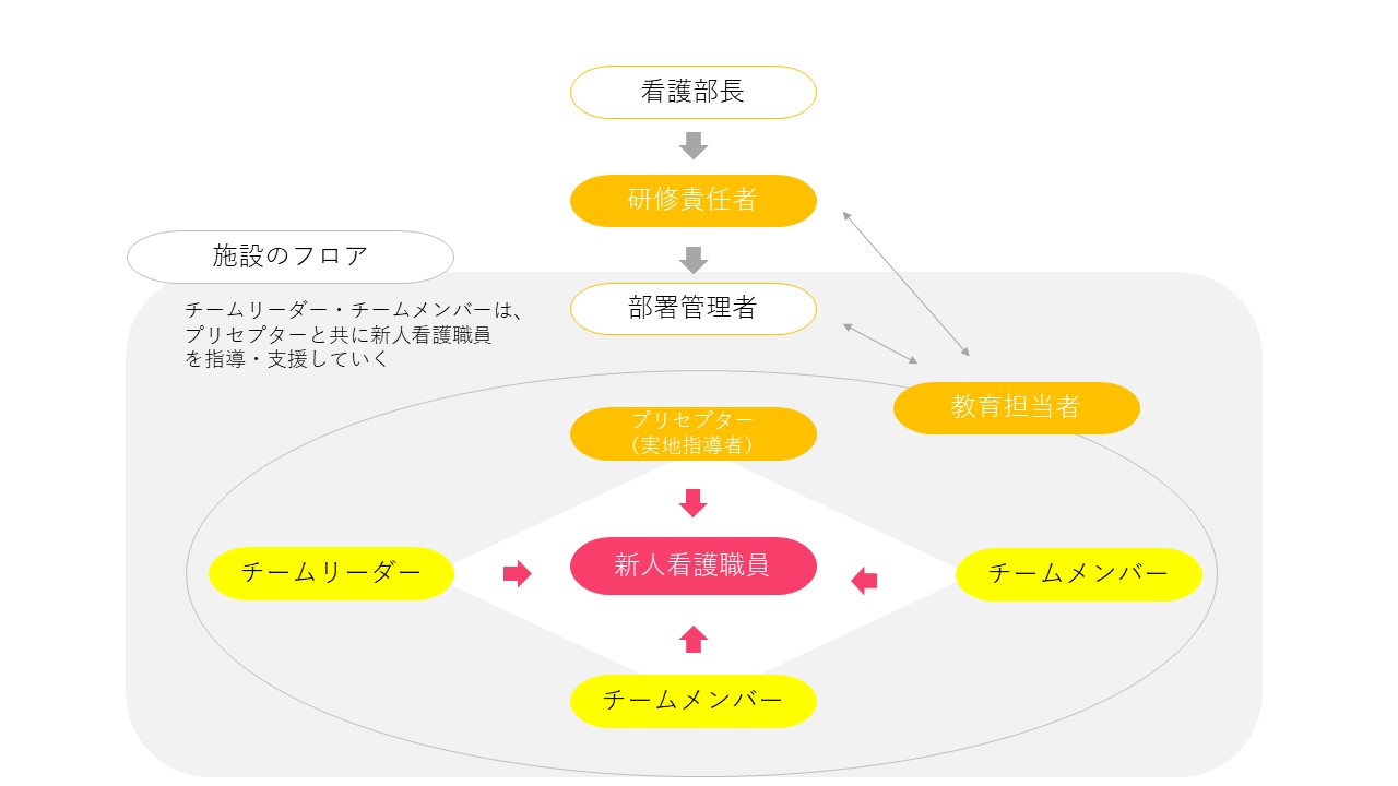 新人教育支援体制